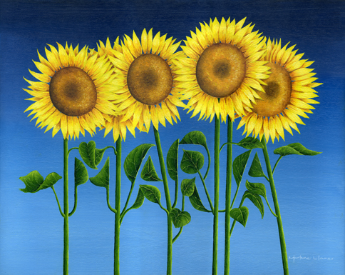 Nombre Maria